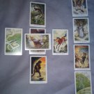 Celtic Cross Tarot Reading