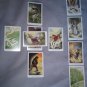 Celtic Cross Tarot Reading