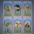 Medicine Card Oracle Reading
