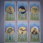 Medicine Card Oracle Reading