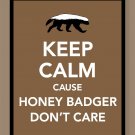 Keep Calm Cause Honey Badger Don't Care Print