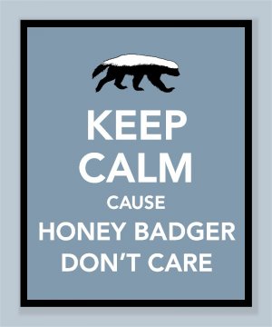 Keep Calm Cause Honey Badger Don't Care Print