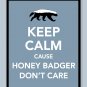 Keep Calm Cause Honey Badger Don't Care Print