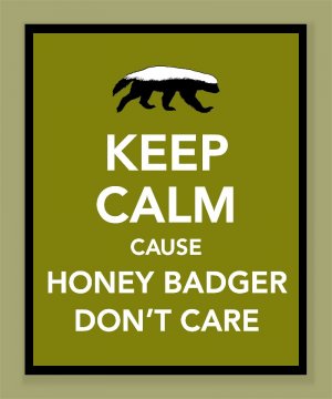 Keep Calm Cause Honey Badger Don't Care Print