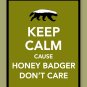 Keep Calm Cause Honey Badger Don't Care Print