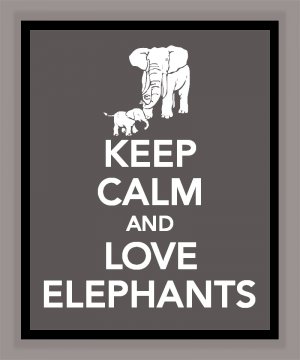 Keep Calm and Love Elephants Print
