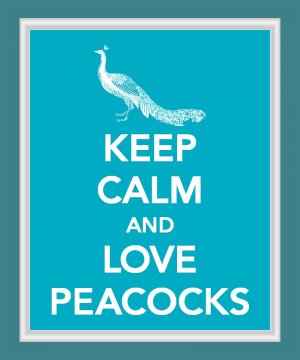 Keep Calm and Love Peacocks Print