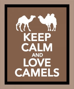 Keep Calm and Love Camels Print
