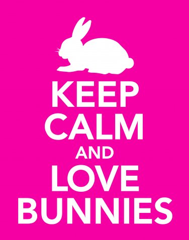 keep calm and love bunnies