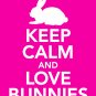 Keep Calm and Love Bunnies Print 11x14 inches