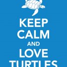 Keep Calm and Love Turtles Print