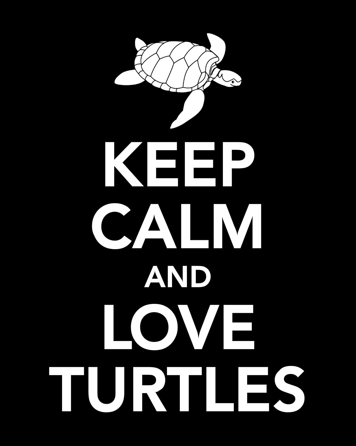 Keep Calm And Love Turtles Print