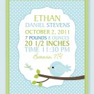 Customized Baby Boy Birth record print