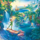 D-500-427 Tenyo Disney Peter Pan and Tinker Bell - Japan Jigsaw Puzzle
