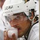 06/07 NHL Anaheim Ducks Photo Collection