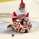 06/07 NHL Detroit Red Wings Photo Collection
