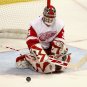 06/07 NHL Detroit Red Wings Photo Collection
