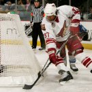 06/07 NHL Phoenix Coyotes Photo Collection