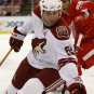 07/08 NHL Phoenix Coyotes Photo Collection