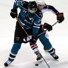 07/08 NHL San Jose Sharks Photo Collection