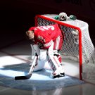 08/09 NHL Phoenix Coyotes Photo Collection