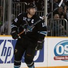 08/09 NHL San Jose Sharks Photo Collection