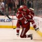 09/10 NHL Phoenix Coyotes Photo Collection