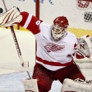 10/11 NHL Detroit Red Wings Photo Collection