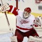 10/11 NHL Detroit Red Wings Photo Collection