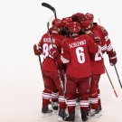 10/11 NHL Phoenix Coyotes Photo Collection