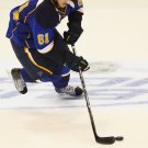 10/11 NHL St. Louis Blues Photo Collection