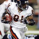 2006 NFL Chicago Bears Photo Collection