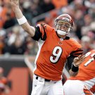 2006 NFL Cincinnati Bengals Photo Collection