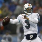 2006 NFL Miami Dolphins Photo Collection