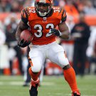 2007 NFL Cincinnati Photo Collection
