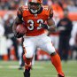 2007 NFL Cincinnati Photo Collection