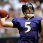 2008 NFL Baltimore Ravens Photo Collection