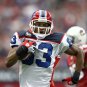 2008 NFL Buffalo Bills Photo Collection