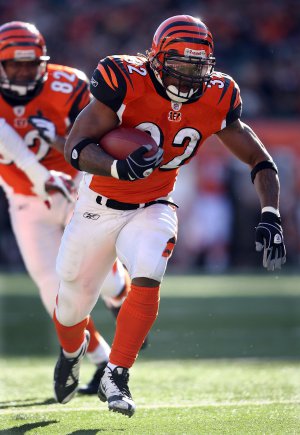 2008 NFL Cincinnati Bengals Photo Collection