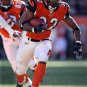 2008 NFL Cincinnati Bengals Photo Collection