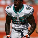 2008 NFL Miami Dolphins Photo Collection