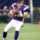 2008 NFL Minnesota Vikings Photo Collection
