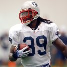 2008 NFL New England Patriots Photo Collection