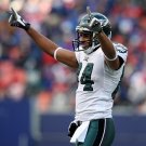 2008 NFL Philadelphia Eagles Photo Collection