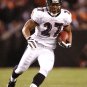 2009 NFL Baltimore Ravens Photo Collection
