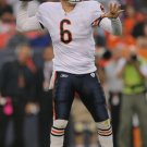 2009 NFL Chicago Bears Photo Collection