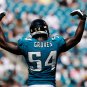 2009 NFL Jacksonville Jaguars Photo Collection