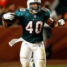 2009 NFL Miami Dolphins Photo Collection