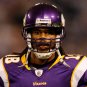 2009 NFL Minnesota Vikings Photo Collection