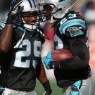 2010 NFL Carolina Panthers Photo Collection